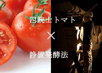 純柿酢